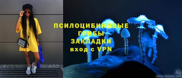 соль курить ск Михайлов