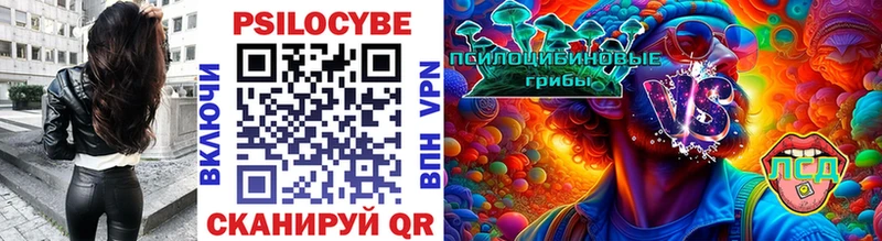 нарко площадка Telegram Семикаракорск Псилоцибиновые грибы прущие грибы